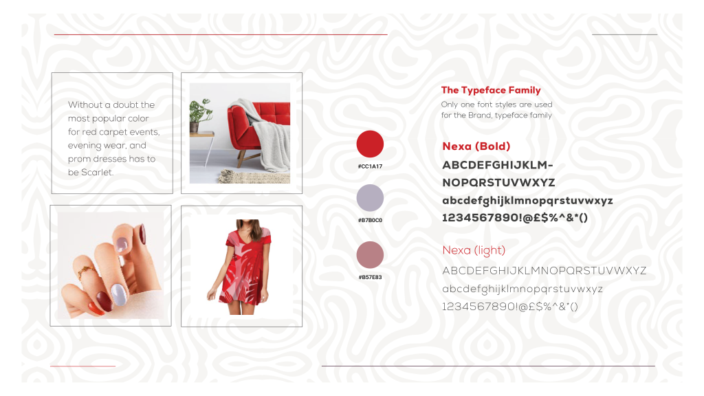 Curation Studios Company Profile-22